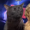 yaspsilvaa