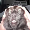 spawnismoeomeucukrlh