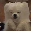 0000028m