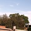 zurduy19
