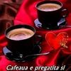 50_leyla_50