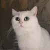 mmasaaayy