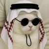 tanvir76636