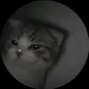jmsndmendudjr