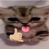 fikrarwwwr