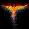 fire_7.8.6