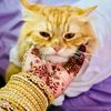 Mehedi By Sadia