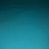 lukacarr_2