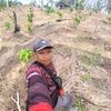 wayanandi41