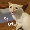 meodayyy0