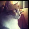 maria_o7on