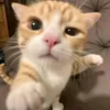 miyadayhehe