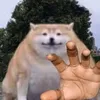 kornyboii