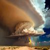 bloem169