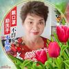 khimgoh848