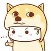 domct2k