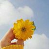amal_77778