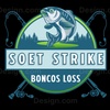 soet_strike