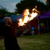 firebug42