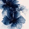 user2378_18
