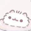 pocha_x_4