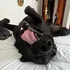 lolabrrs