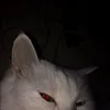 etrnldrunk