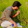 mirzasurjo__950