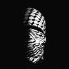zioudiahmed