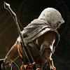 bayek503