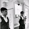 mamed_ov_343