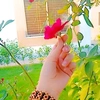 noor_alhoda42