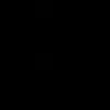 d2.95g