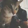 mmeowws_z