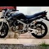 richard26910