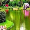user1600408849885