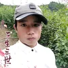 quang.kim.vg