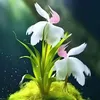 bellhuynh551
