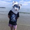 justadumbtiger