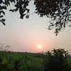 halima.akhter27