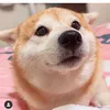 bew_wa29