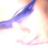 user1245362445135papamud