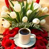 ginopsoli