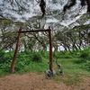 rindyah.handari