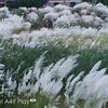 pastispast02