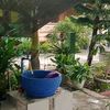 samgoro4