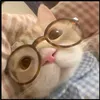 ilovenamgyu55673