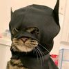 batcat_69