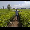 mulyonoyono44962