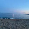 molly279_